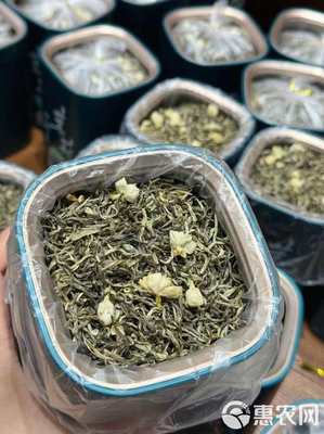 茉莉銀針 茉莉花茶 廣西橫縣茉莉茶 花茶 罐裝濃香批發(fā)價(jià)綠茶